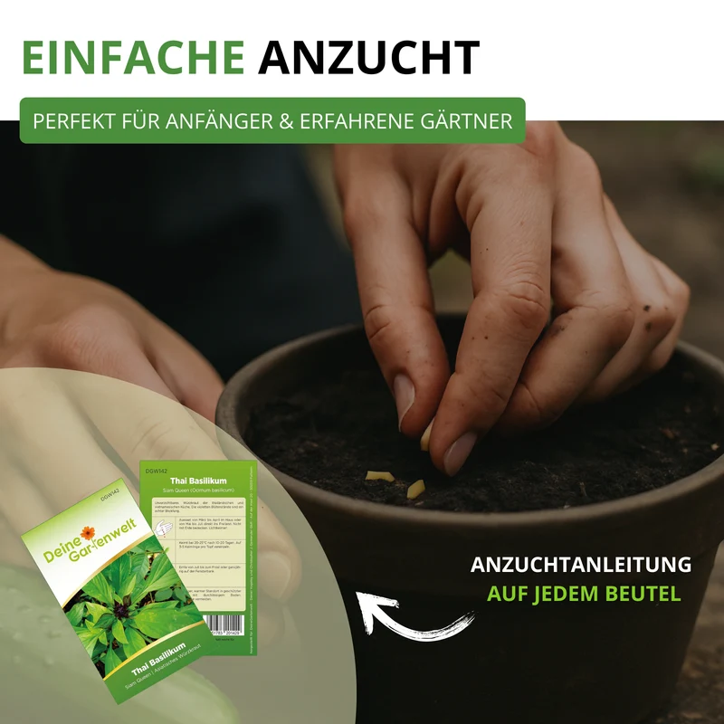Kräutersamen Set mit 10 Sorten