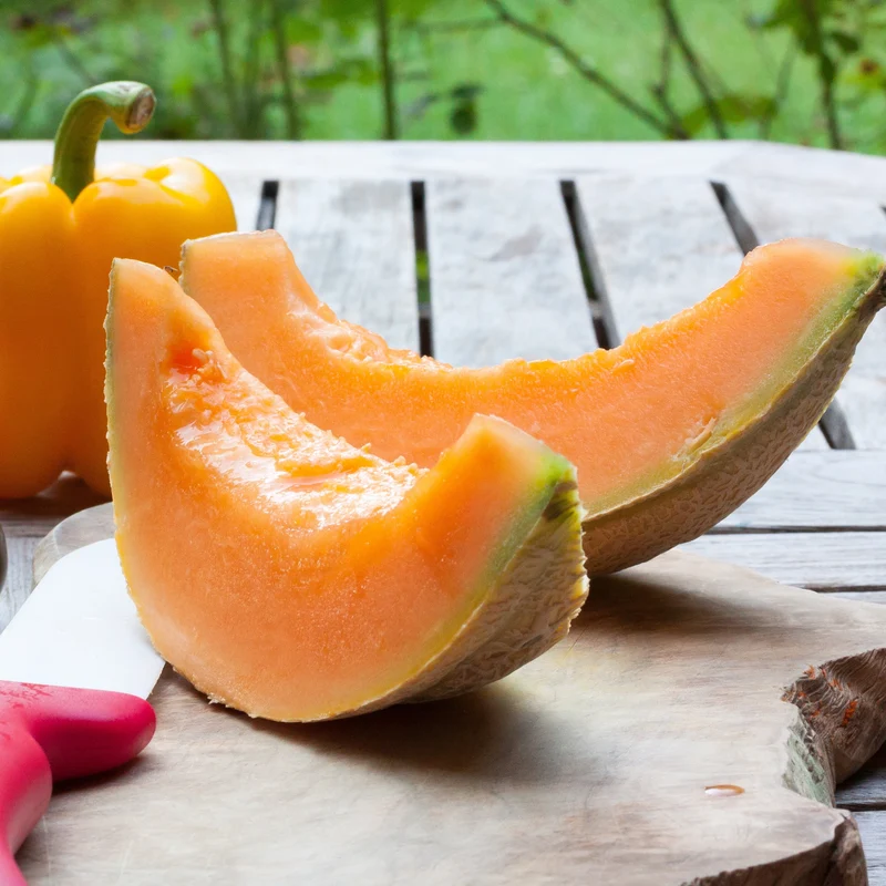 Zuckermelone Charentais Saatgut