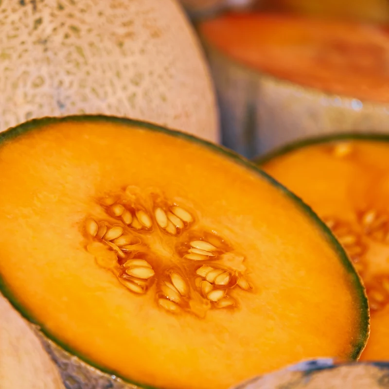 Zuckermelone Charentais Saatgut