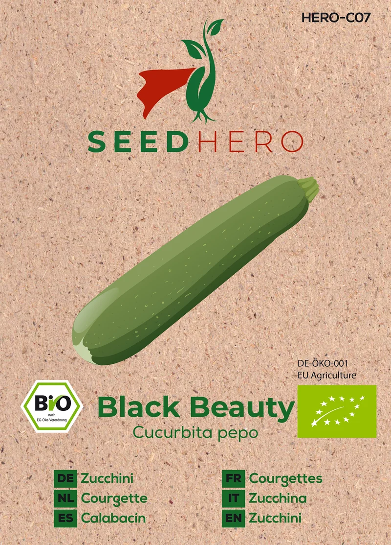 Bio Zucchini Black Beauty Saatgut