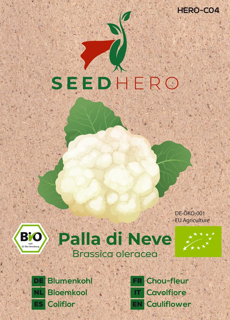 Bio Blumenkohl Palla di Neve Saatgut