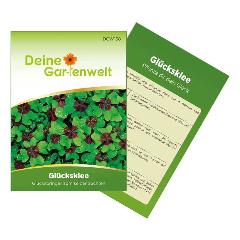 Glücksklee Zwiebeln