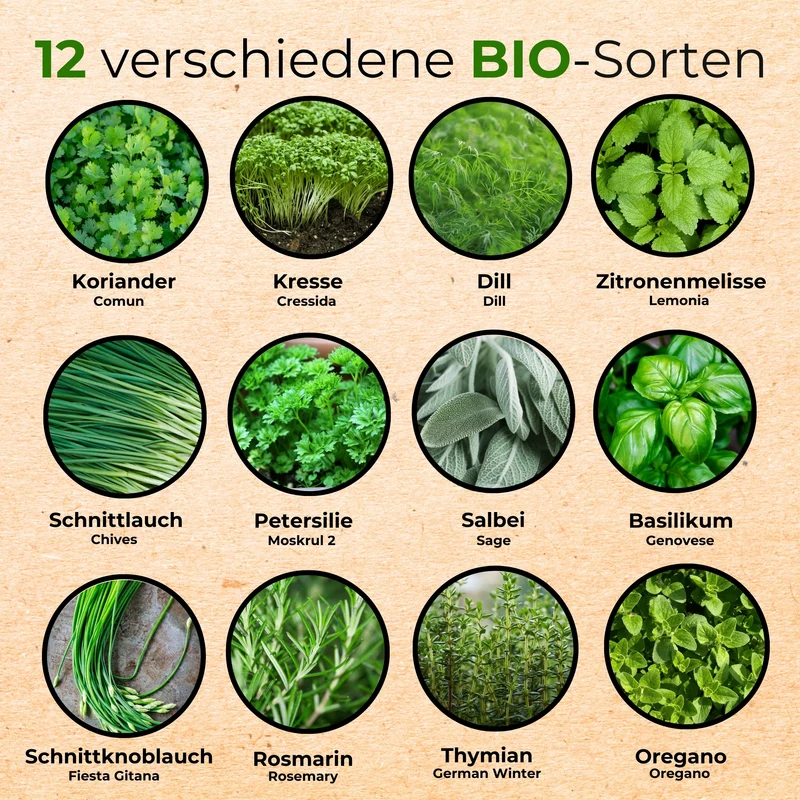 Bio Kräutersamen Set mit 12 Sorten