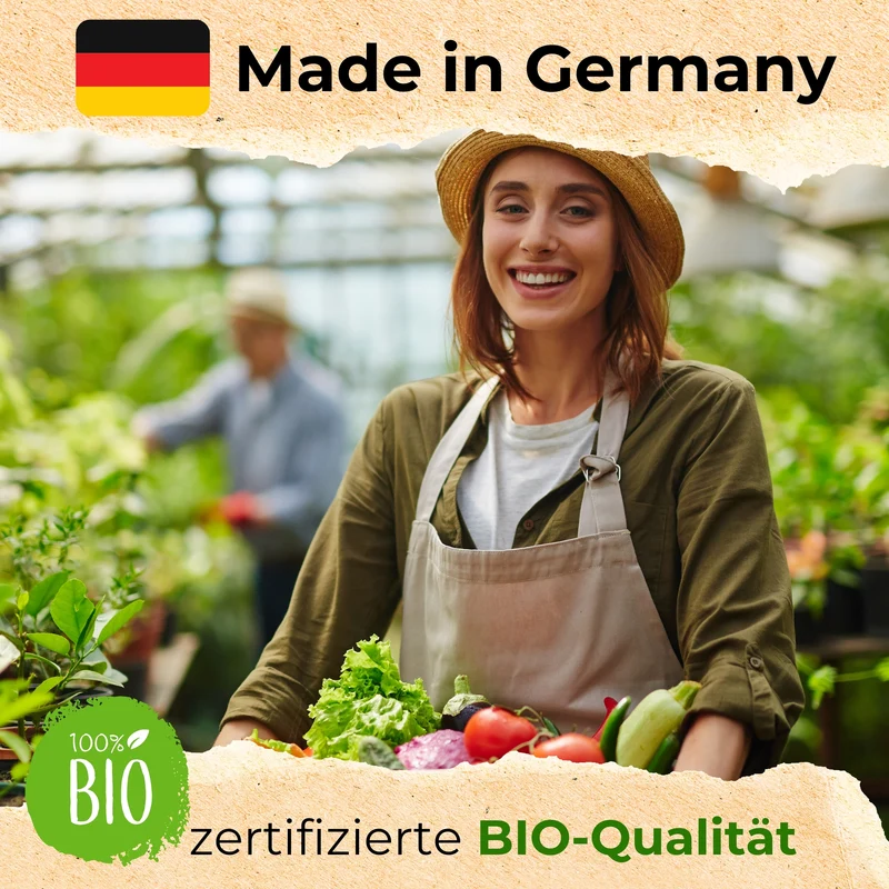 Bio Kräutersamen Set mit 12 Sorten