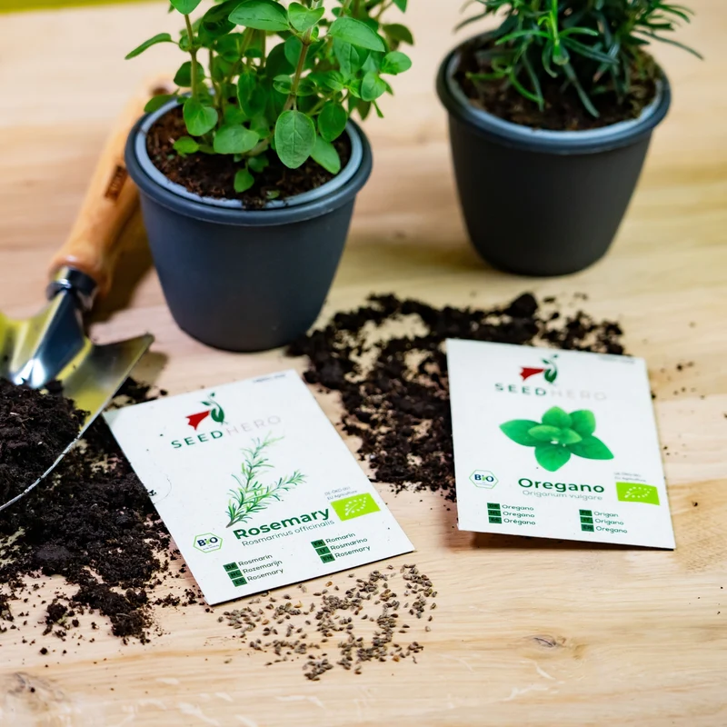 Bio Kräutersamen Set mit 12 Sorten