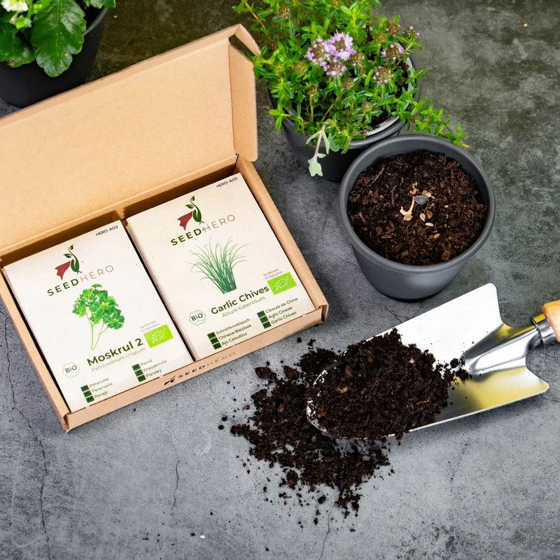 Bio Kräutersamen Set mit 12 Sorten
