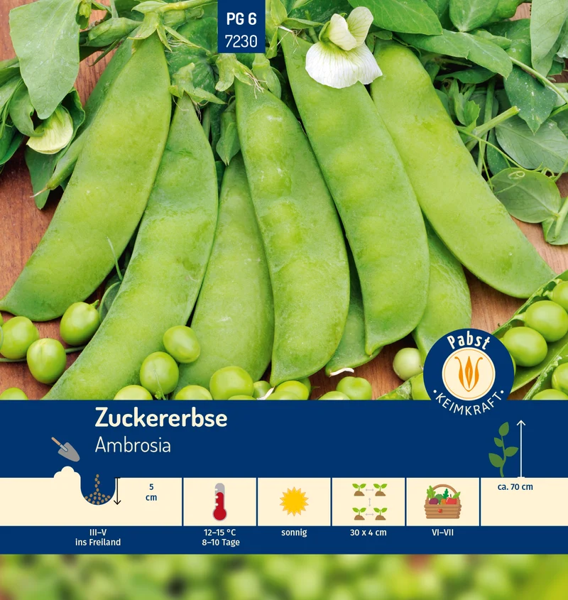 Zuckererbse Ambrosia Saatgut