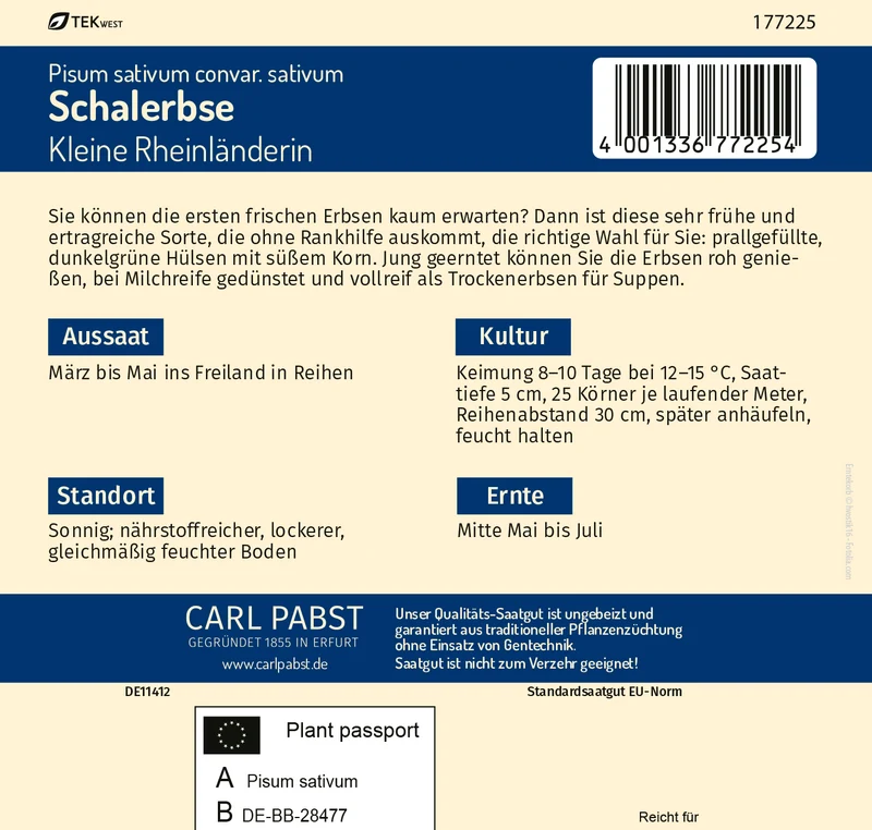 Schalerbse Kleine Rheinländerin Saatgut