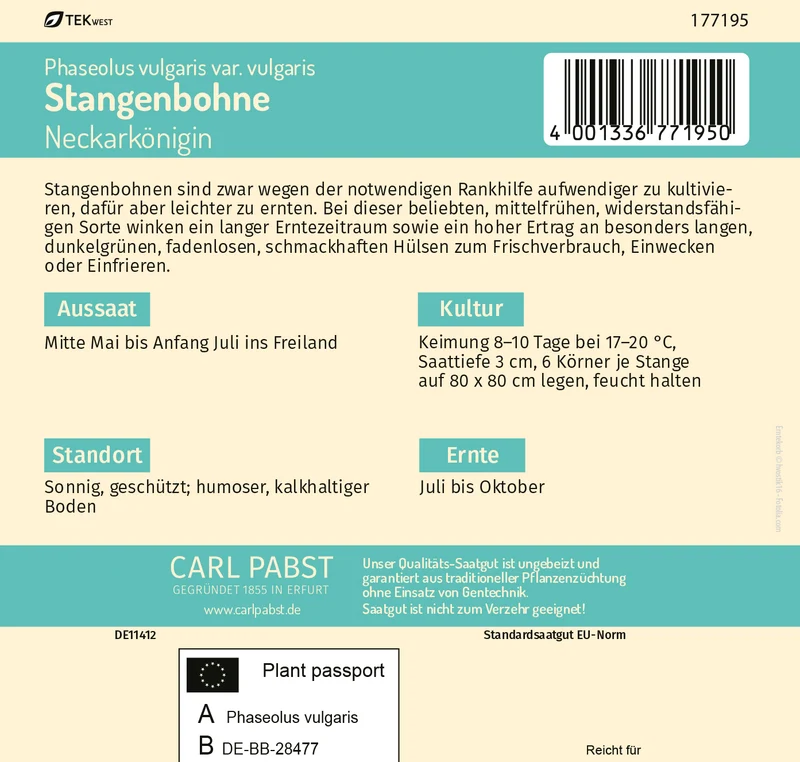 Stangenbohne Neckarkönigin Saatgut