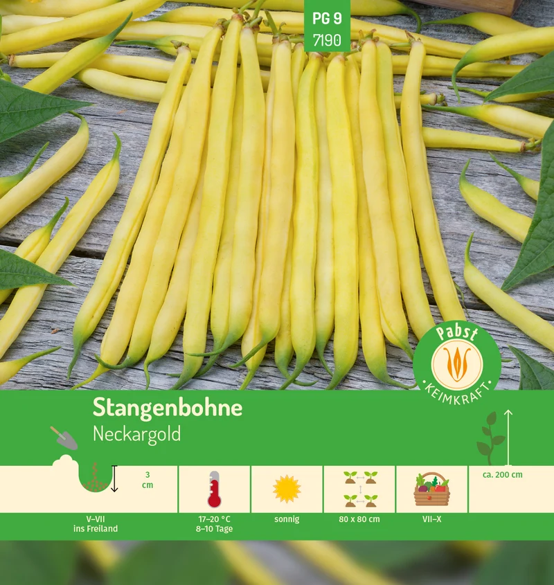 Stangenbohne Neckargold Saatgut