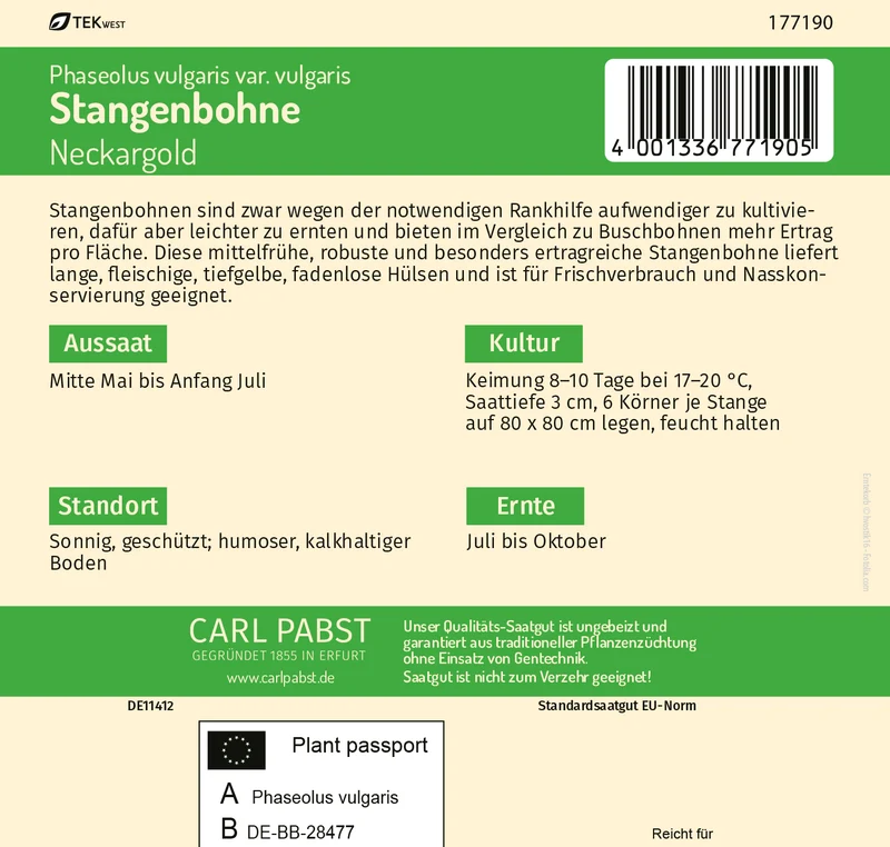 Stangenbohne Neckargold Saatgut