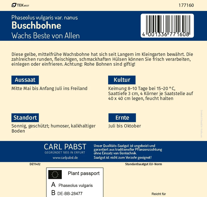 Buschbohne Wachs Beste von Allen Saatgut