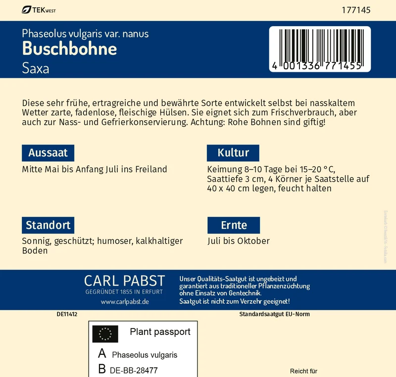 Buschbohne Saxa Saatgut