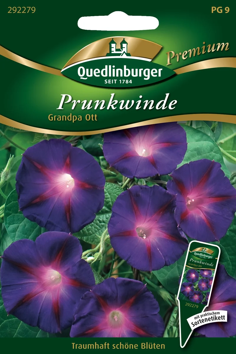 Prunk Winde Grandpa Ott Saatgut