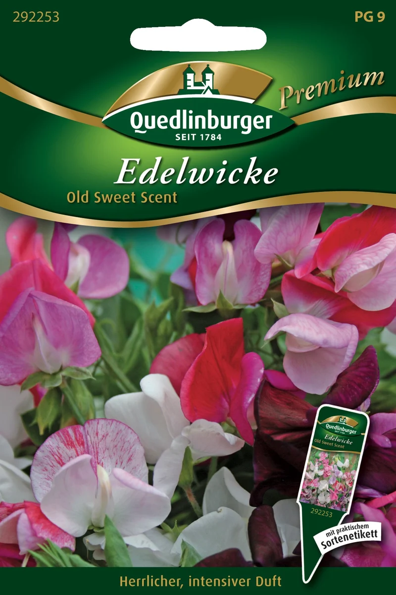 Wicken Edel Old Sweet Scent Saatgut