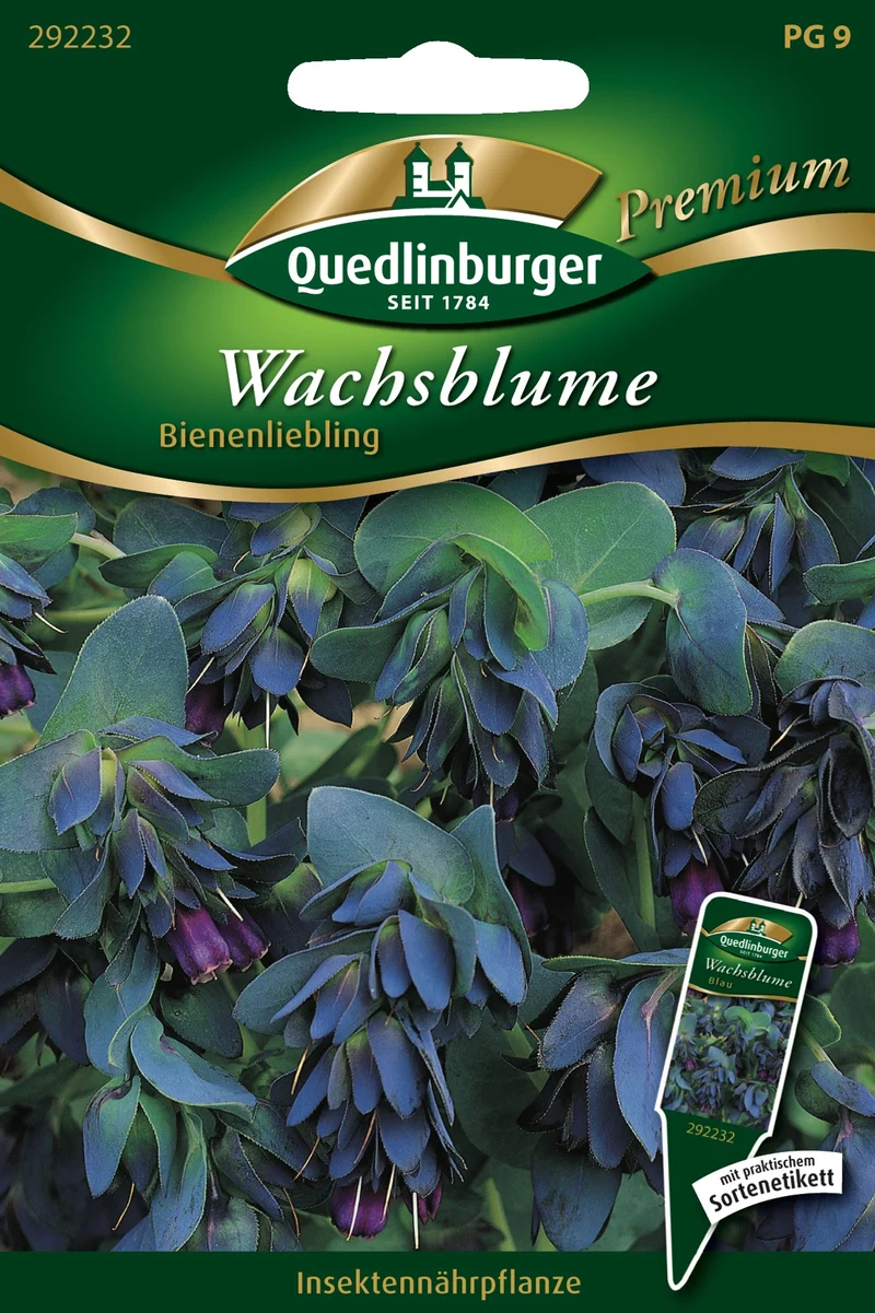Wachsblume Blau Saatgut