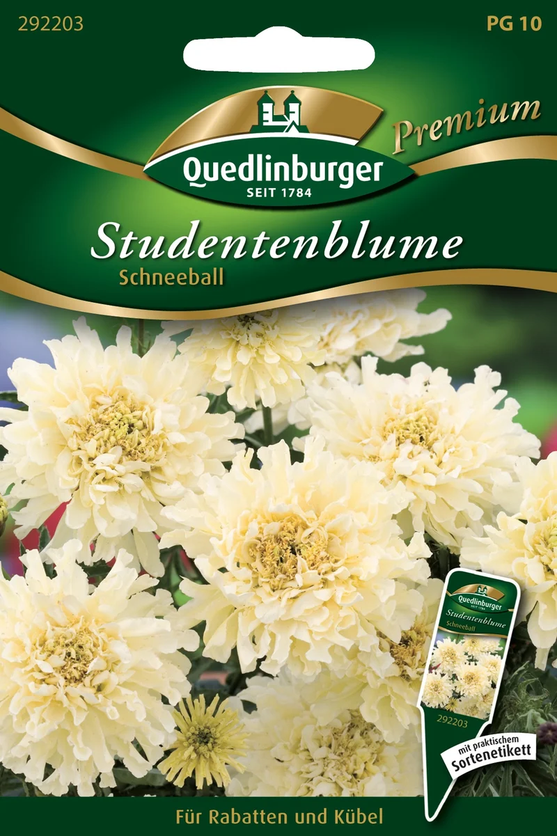 Studentenblume Schneeball Saatgut