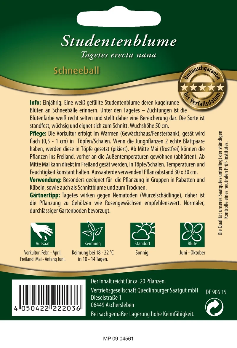 Studentenblume Schneeball Saatgut
