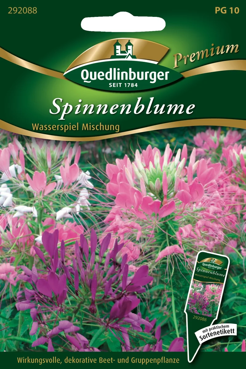 Spinnenblume Wasserspiel Mischung Saatgut