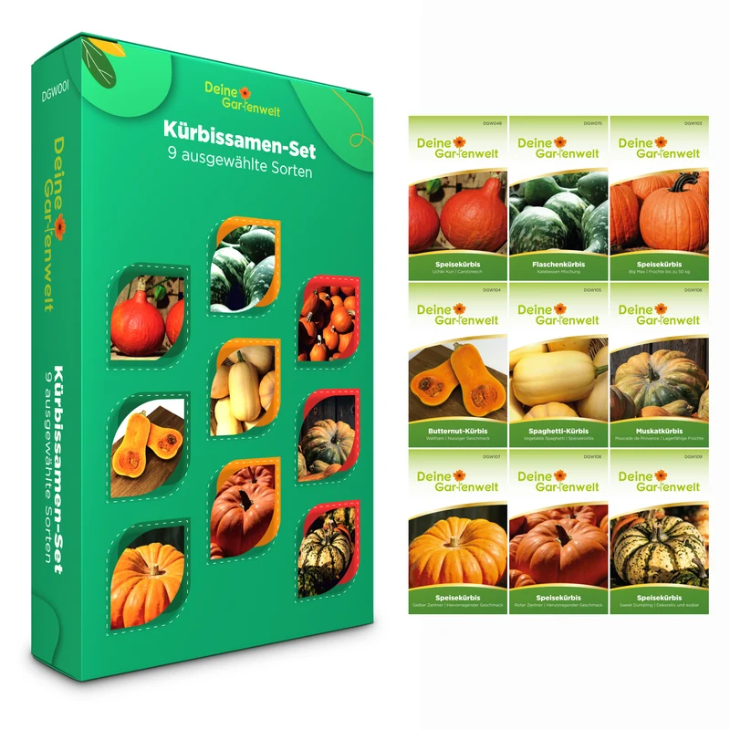 Kürbissamen Set mit 9 Sorten