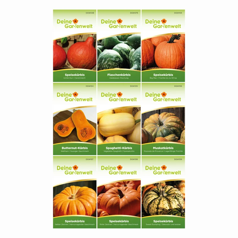 Kürbissamen Set mit 9 Sorten