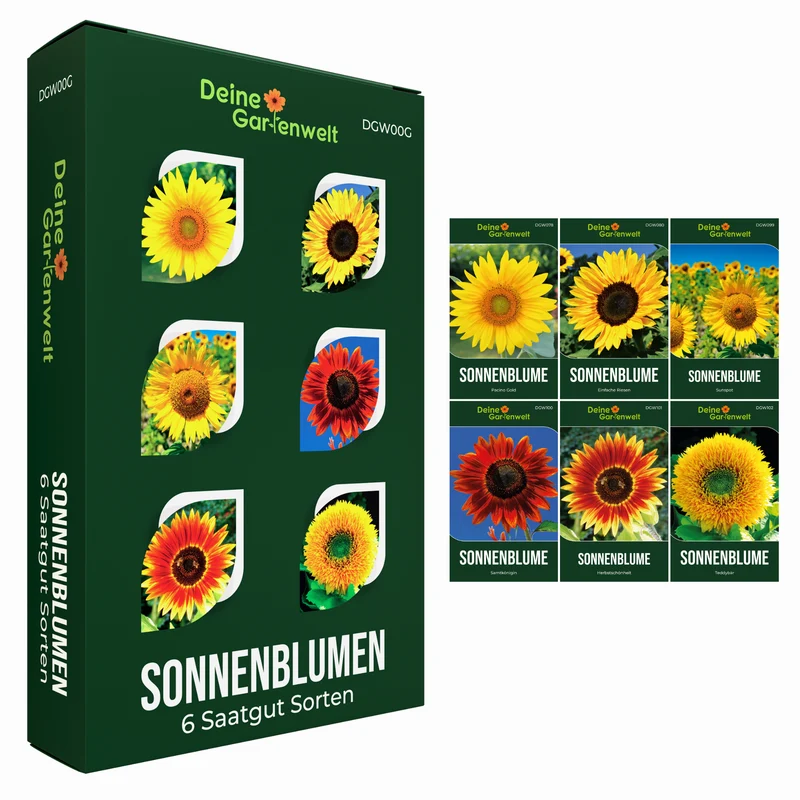 Sonnenblumensamen Set mit 6 Sorten