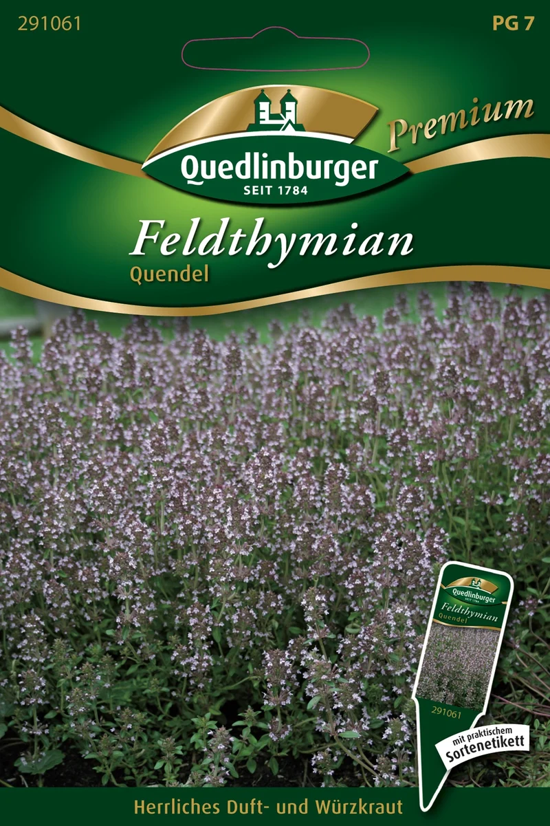 Feld Thymian Quendel Saatgut