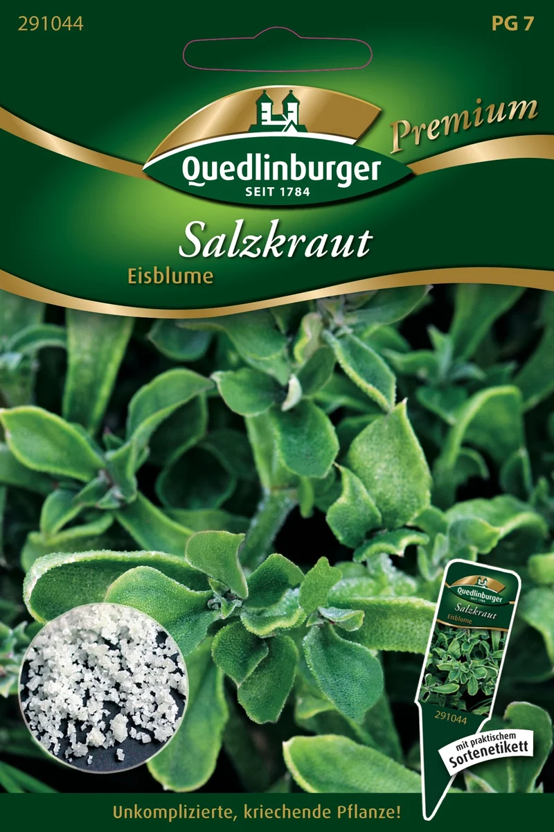 Salzkraut Eisblume Saatgut