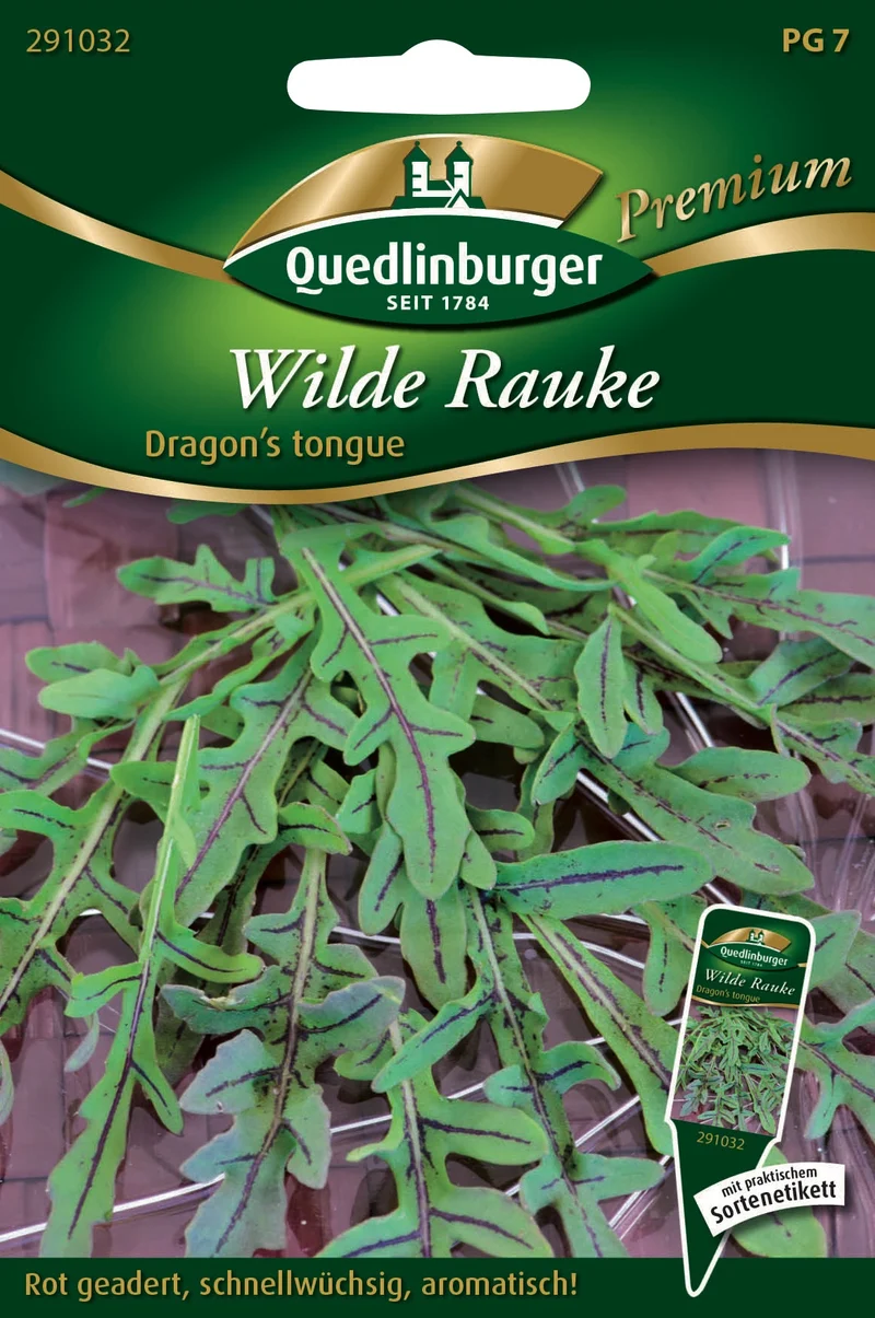 Rauke Wilde Dragons tongue Saatgut
