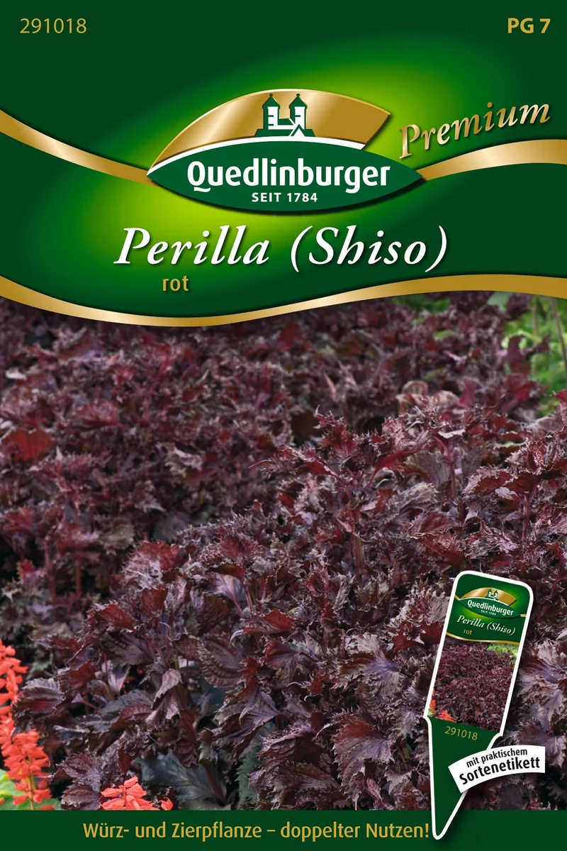 Perilla rot Saatgut