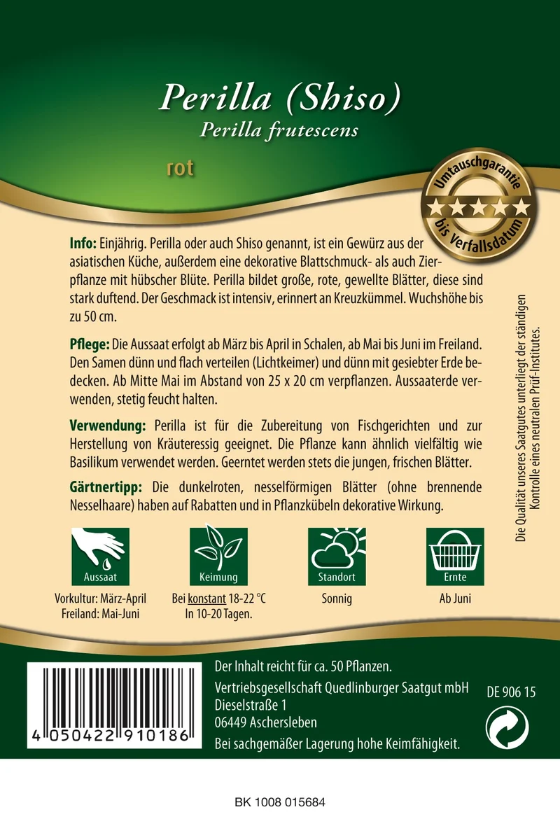 Perilla rot Saatgut
