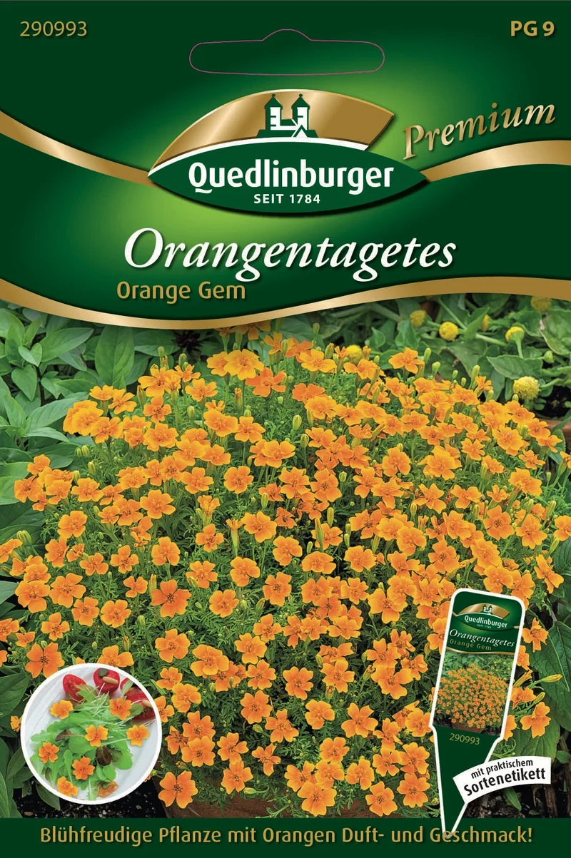 Orangen Tagetes Orange GEM Saatgut