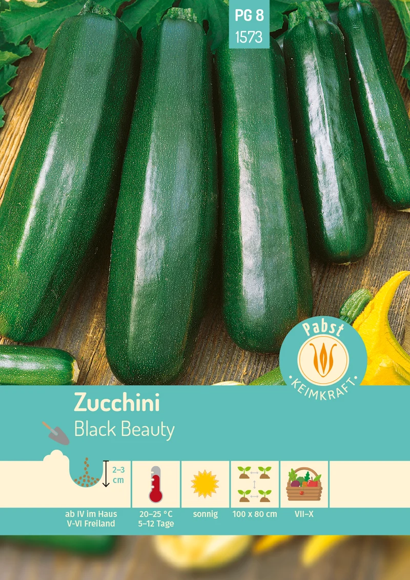 Zucchini Black Beauty Saatgut