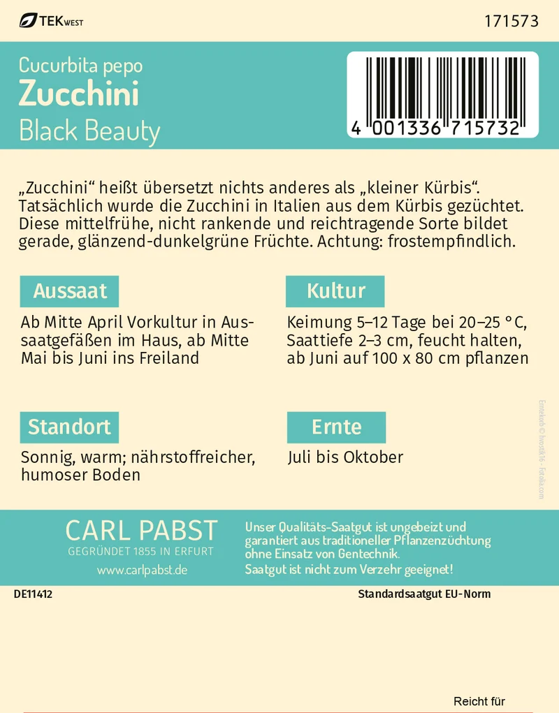 Zucchini Black Beauty Saatgut