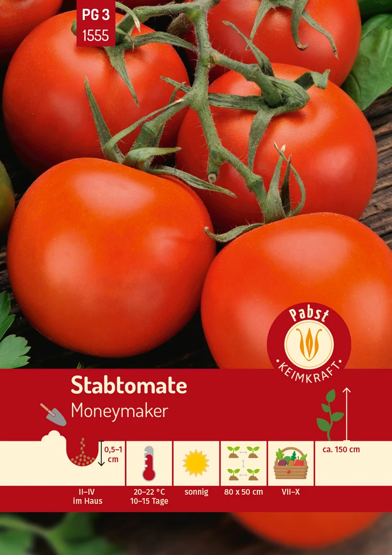 Stabtomate Moneymaker Saatgut
