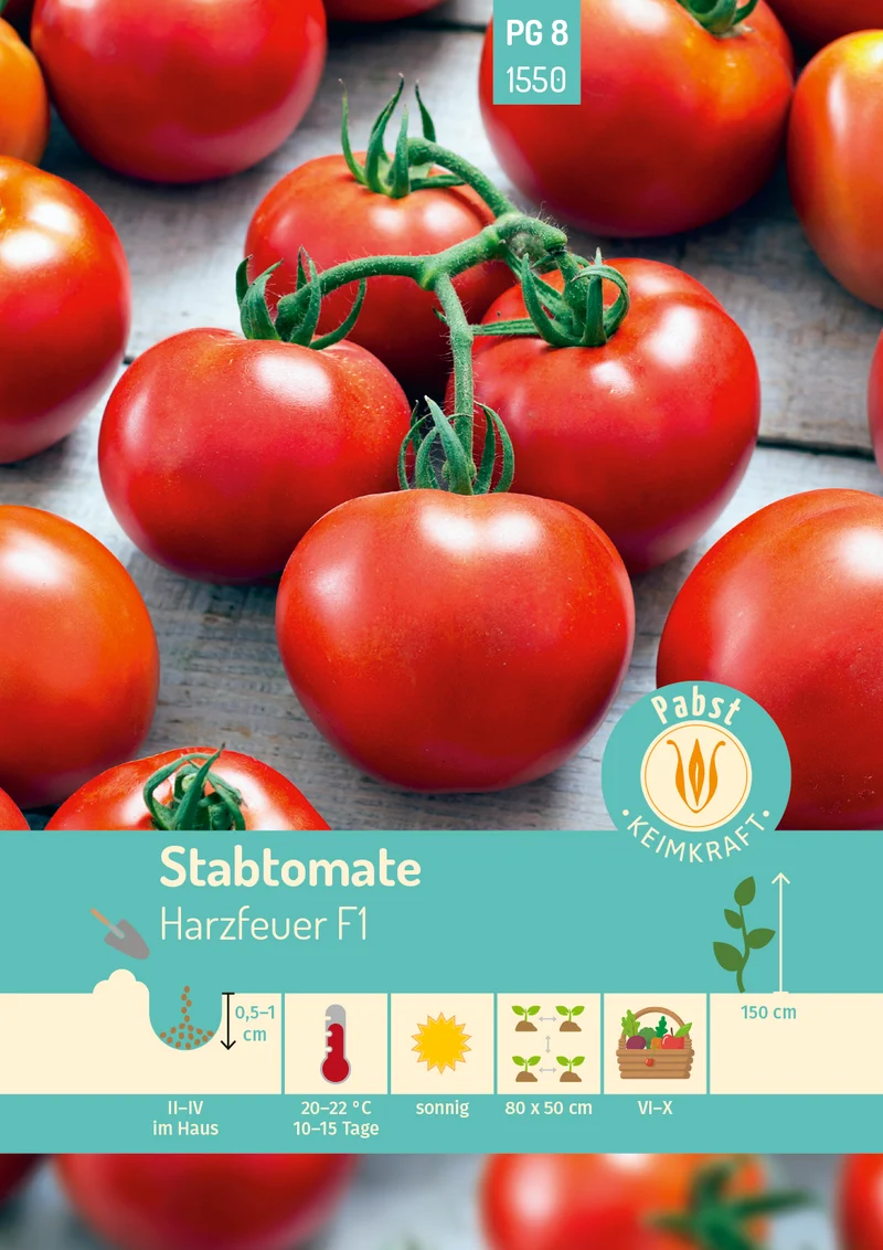 Stabtomate Harzfeuer F1 Saatgut