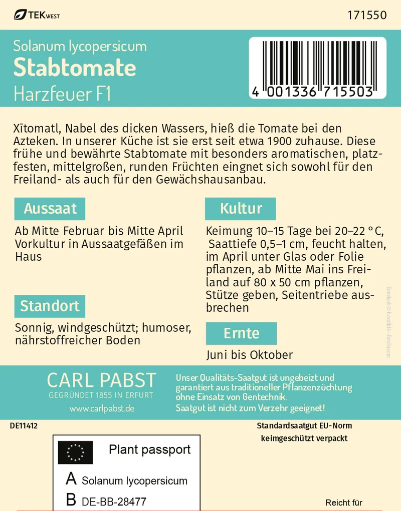 Stabtomate Harzfeuer F1 Saatgut