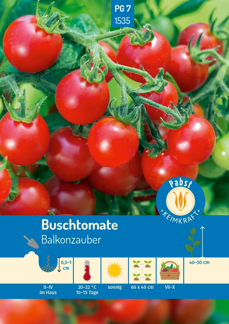 Buschtomate Balkonzauber Saatgut