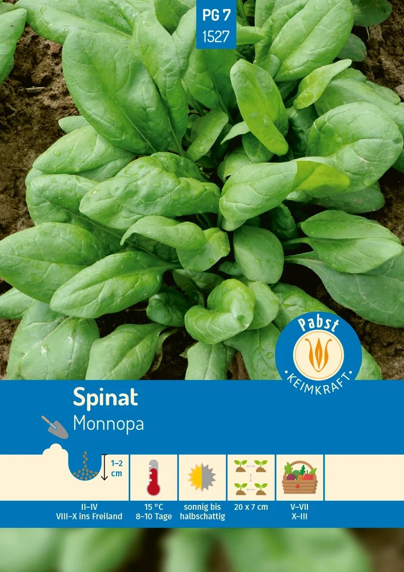 Spinat Monnopa Saatgut