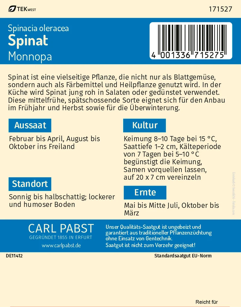 Spinat Monnopa Saatgut