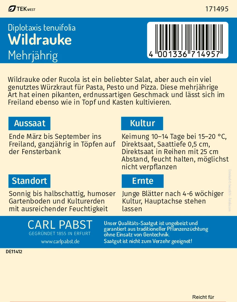 Wildrauke Rucola Saatgut