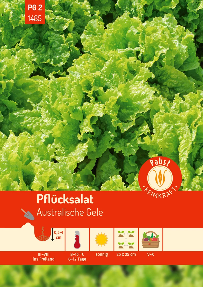 Pflücksalat Australische Gele Saatgut