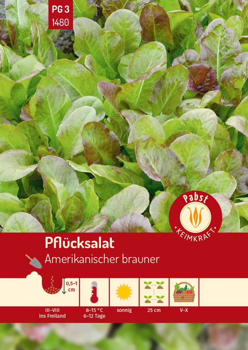 Pflücksalat Amerikanischer Brauner Saatgut