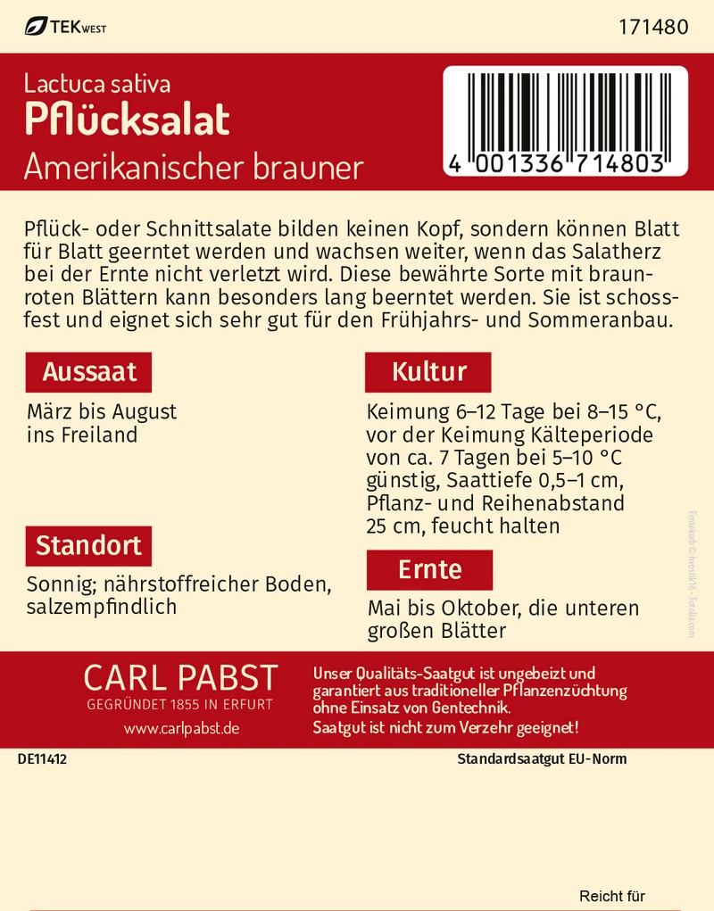 Pflücksalat Amerikanischer Brauner Saatgut