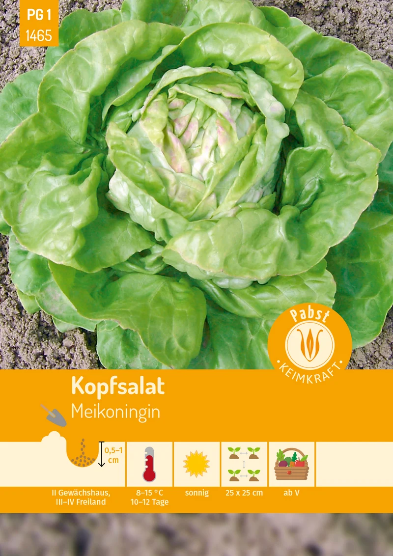 Kopfsalat Meikoningin Saatgut