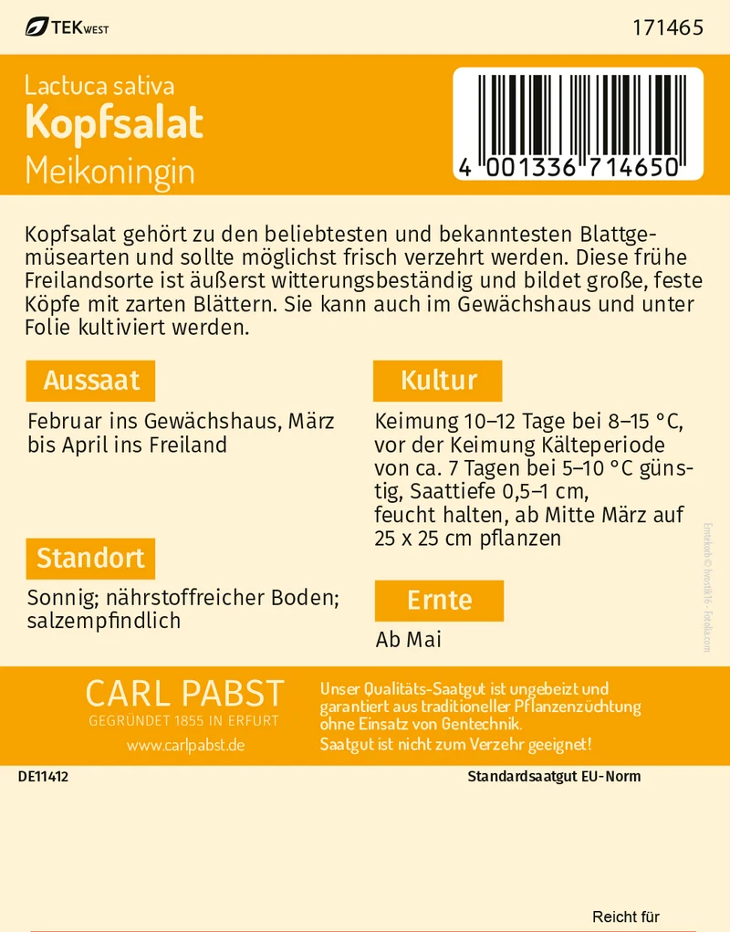 Kopfsalat Meikoningin Saatgut