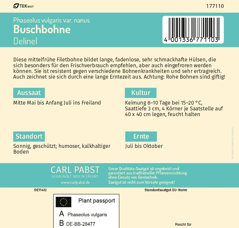 Buschbohne Delinel Saatgut