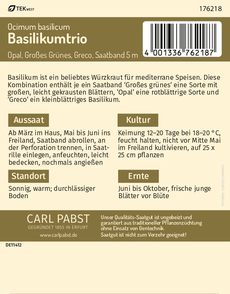 Basilikumtrio Saatband 5 m Opal Großes Grünes Greco