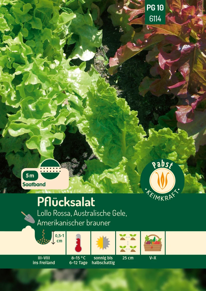 Pflücksalat Kombination Saatband 5 m