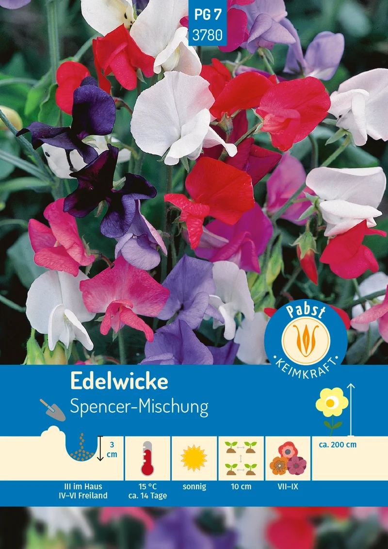 Edelwicke Spencer Mischung Saatgut
